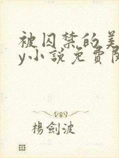 被囚禁的美人by小说免费阅读