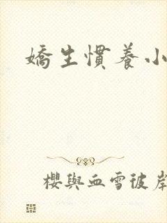 娇生惯养小说