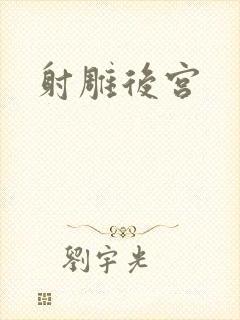 射雕后宫