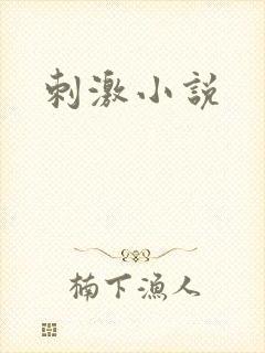 刺激小说