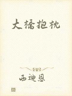 大桥抱枕
