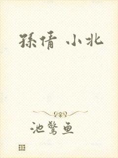 孙倩 小北