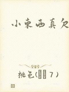 小东西真欠弄