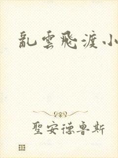 乱云飞渡小说