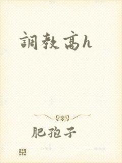 调教高h