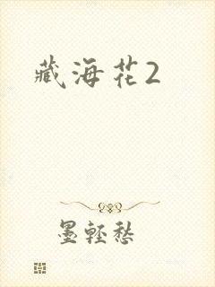 藏海花2封面