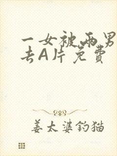 一女被两男桶进去A片免费