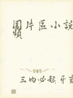 图片区小说区视频