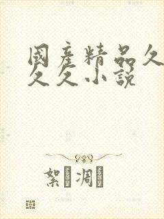 国产精品久久久久久小说