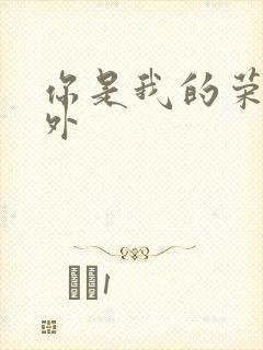你是我的荣耀番外
