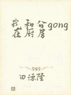 我和公gong在厨房封面