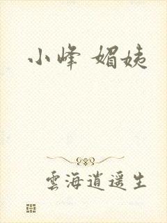 小峰 媚姨封面