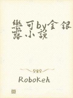乐可by金银花露小说