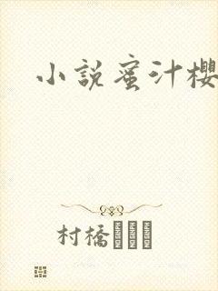 小说蜜汁樱桃