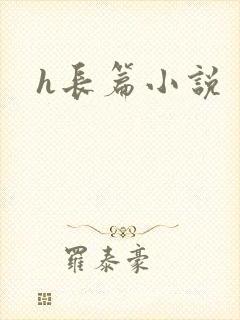 h长篇小说