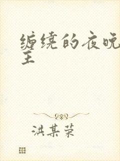缠绕的夜晚双男主