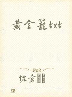 黄金笼txt