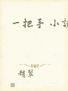 一把手 小说