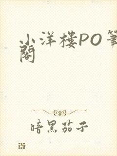 小洋楼PO笔趣阁封面