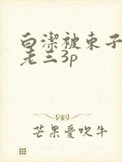 白洁被东子老二老三3p
