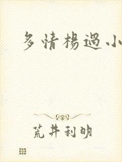 多情杨过小说