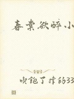 春棠欲醉小说