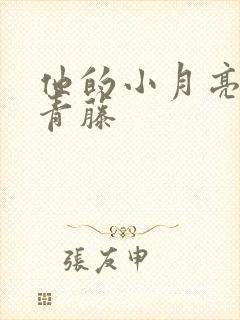 他的小月亮by青藤