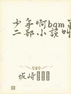 少年啊bgm第二部小说叫什么封面