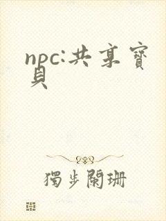 npc:共享宝贝