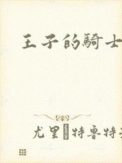 王子的骑士
