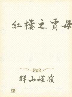 红楼之贾母