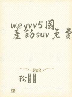 weyvv5国产的suv免费封面