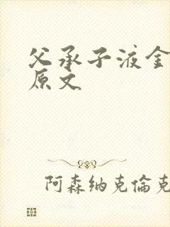 父承子液金银花原文封面