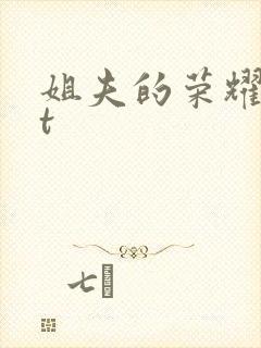 姐夫的荣耀txt