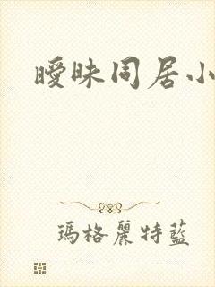 暧昧同居小说