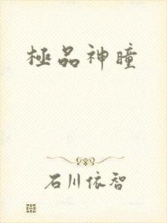 极品神瞳