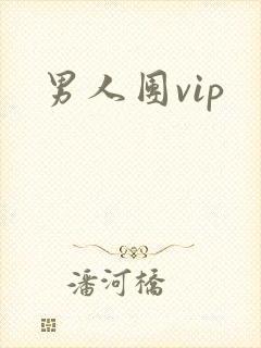 男人团vip封面