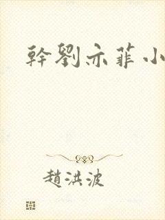 干刘亦菲小说