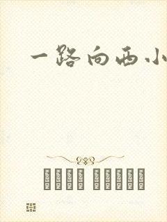 一路向西小说