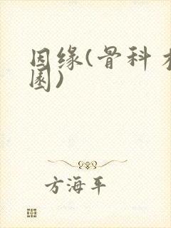 因缘(骨科 校园)
