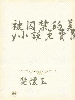 被囚禁的美人by小说免费阅读