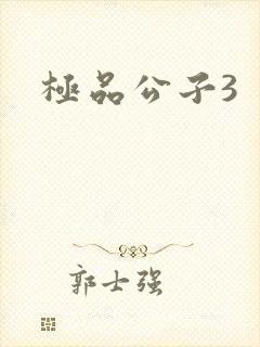 极品公子3