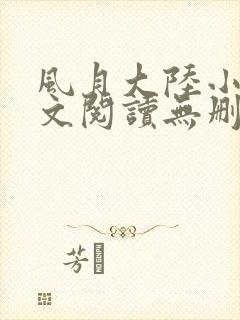 风月大陆小说全文阅读无删减