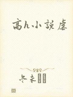 高h小说虐封面