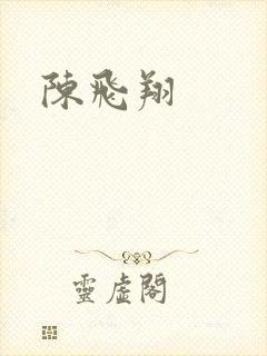 陈飞翔封面