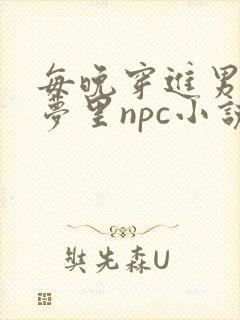 每晚穿进男神的梦里npc小说