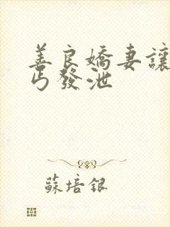 善良娇妻让老乞丐发泄封面