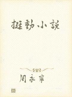挺动小说