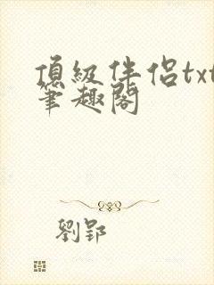 顶级伴侣txt笔趣阁