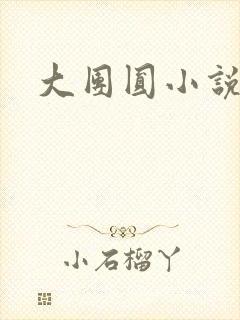 大团圆小说